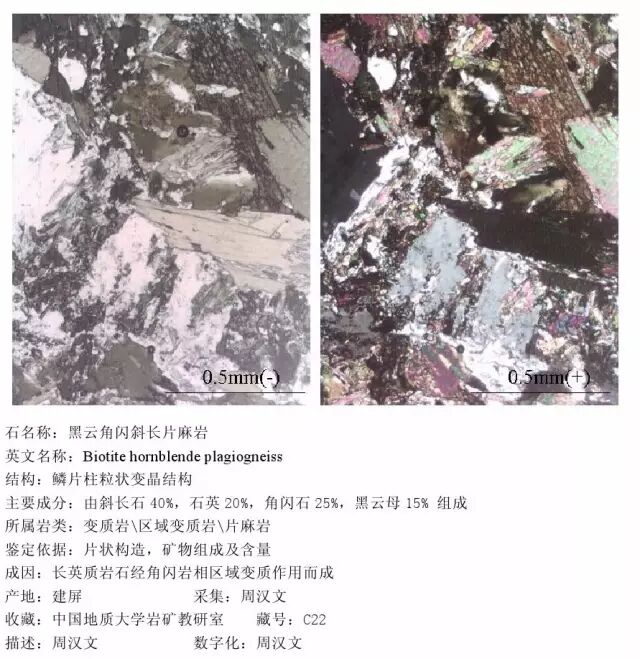 三大岩类190种岩石鉴定图册，看完你就是专家！的图329