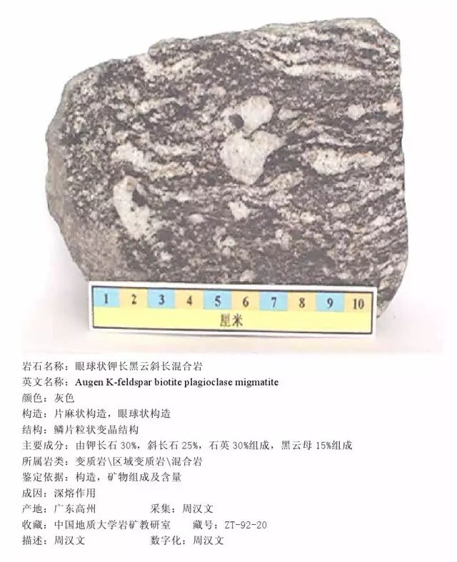 三大岩类190种岩石鉴定图册，看完你就是专家！的图377