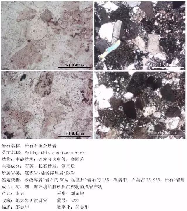 三大岩类190种岩石鉴定图册，看完你就是专家！的图170