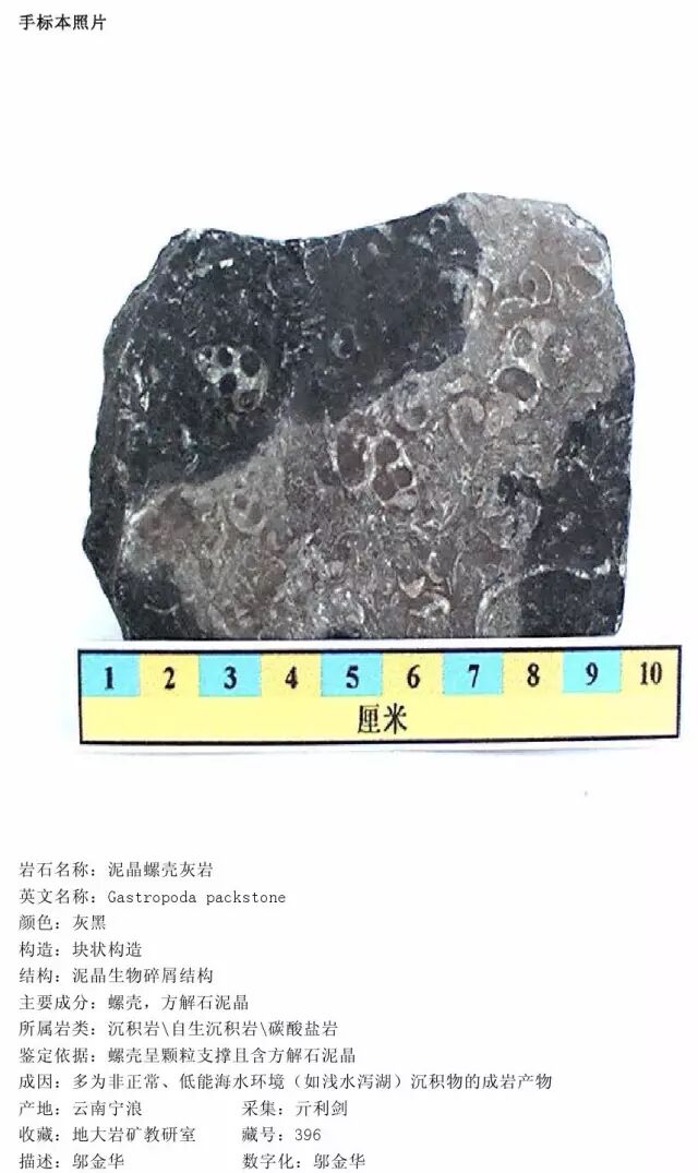 三大岩类190种岩石鉴定图册，看完你就是专家！的图200