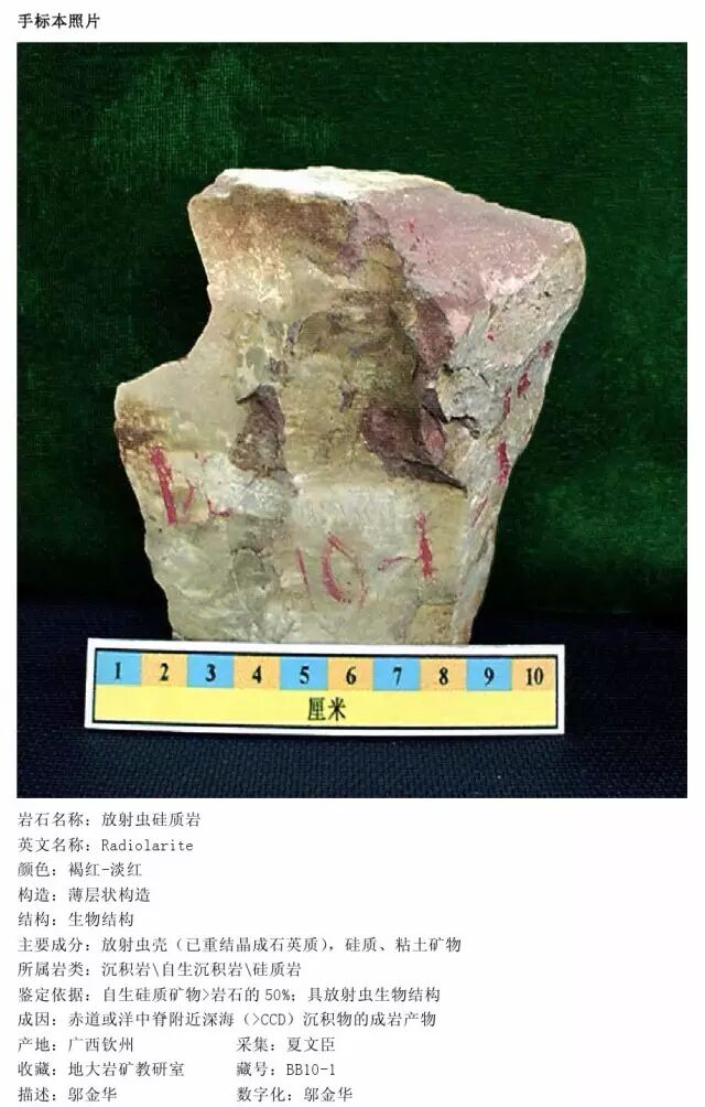 三大岩类190种岩石鉴定图册，看完你就是专家！的图234