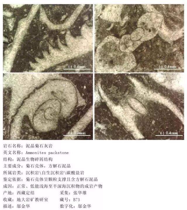 三大岩类190种岩石鉴定图册，看完你就是专家！的图207