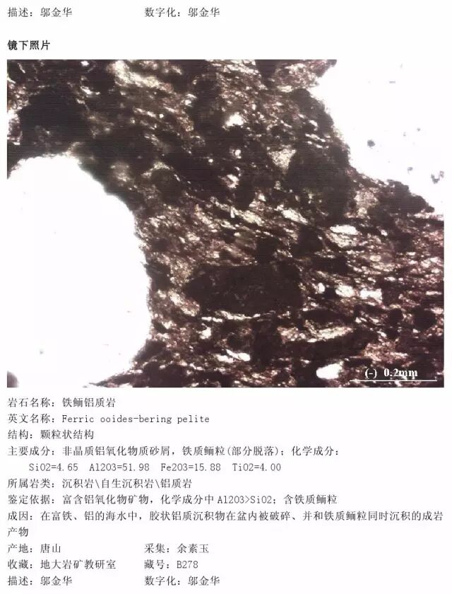 三大岩类190种岩石鉴定图册，看完你就是专家！的图247