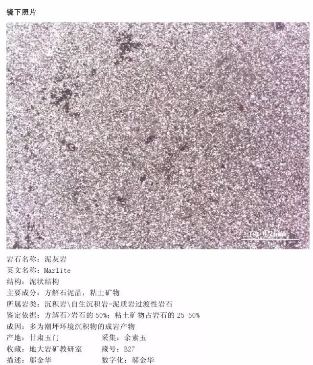 三大岩类190种岩石鉴定图册，看完你就是专家！的图227