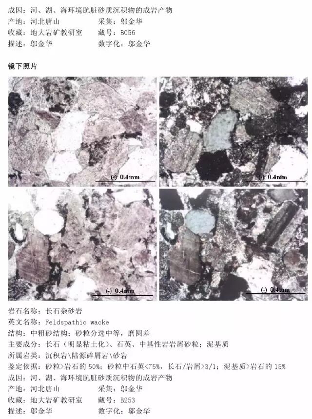 三大岩类190种岩石鉴定图册，看完你就是专家！的图166