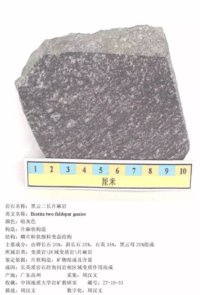 三大岩类190种岩石鉴定图册，看完你就是专家！的图332