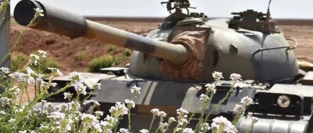 虎嗅蔷薇！中国坦克在中东，与鸽子野花为伴，曾3天一辆供应伊军