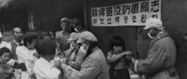 志愿军捕鼠500万，让美帝国主义细菌战破产