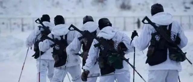 冬奥项目来自战争！我军特战队苦练滑雪，一个个现代杨子荣太帅了