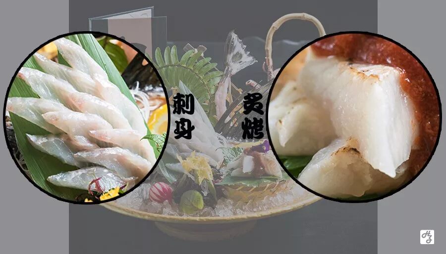 1000元的刺身 860元的金吉 大众点评no 1的日料店绝对打破你的传统认知 杭城深夜食堂 微信公众号文章阅读 Wemp