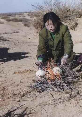 《流浪地球》之后，美国太空总署发了条朋友圈，中国又火了！（组图） - 10
