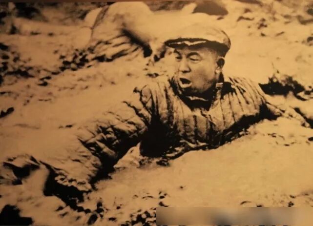 东北又被点名了！不是批评，而是全网点名表扬（组图） - 15