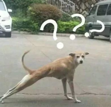 点击查看源网页