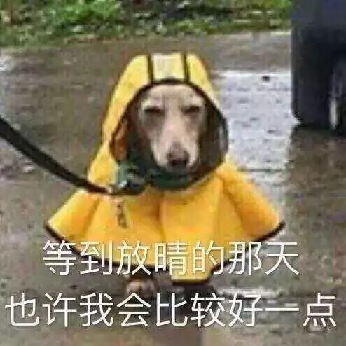 点击查看源网页