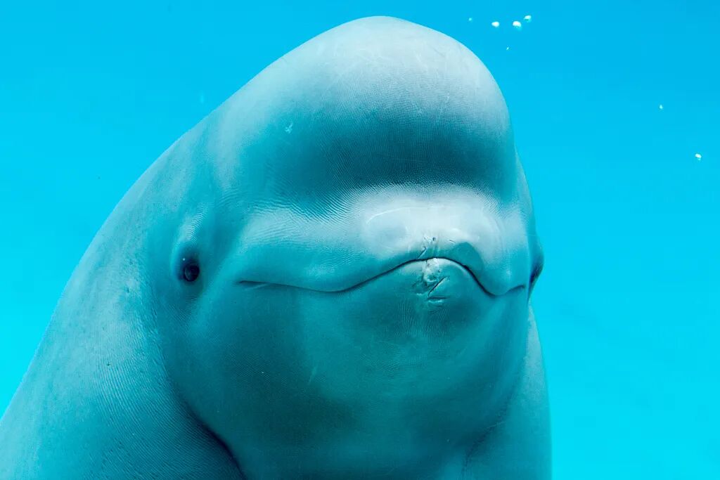 ���ڶ���˹������Ű������Щ�ꡭ��