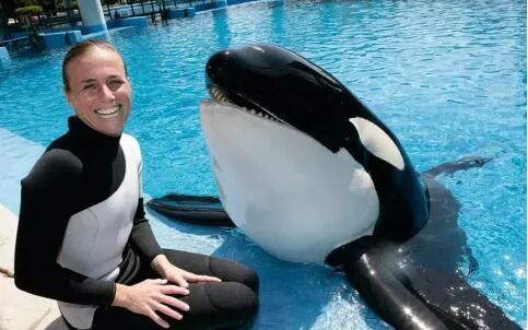 ���ڶ���˹������Ű������Щ�ꡭ��