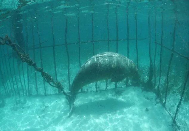 ���ڶ���˹������Ű������Щ�ꡭ��