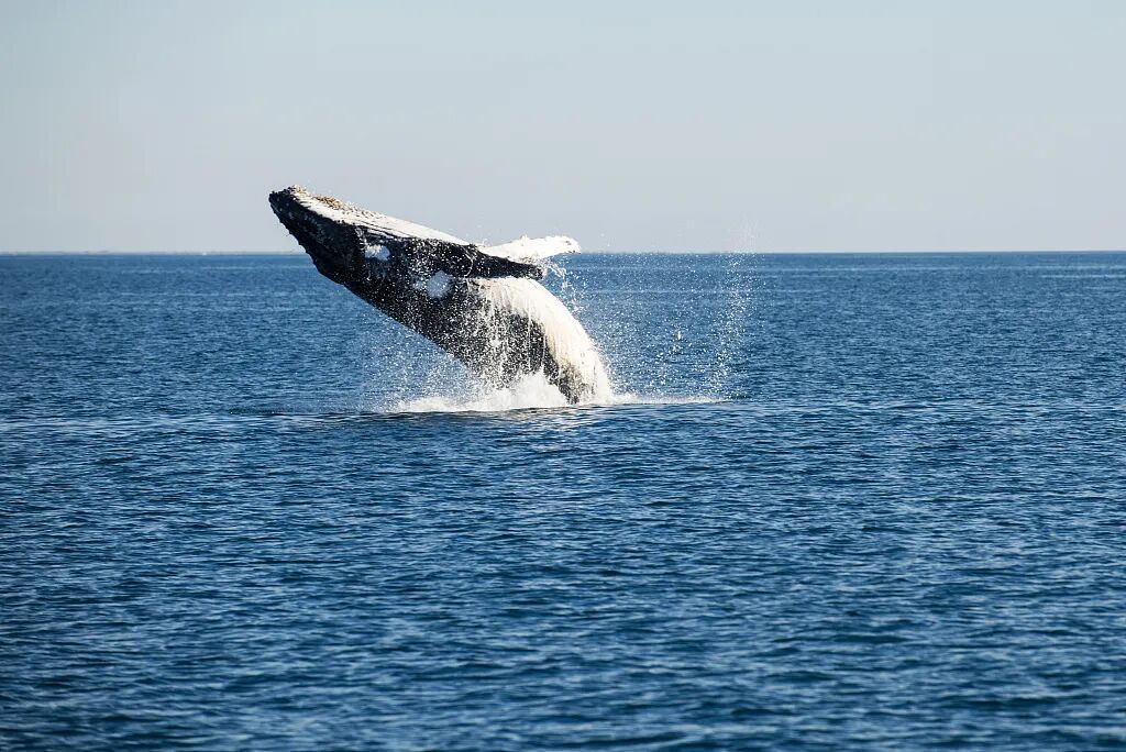 ���ڶ���˹������Ű������Щ�ꡭ��