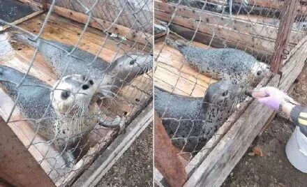 ���ڶ���˹������Ű������Щ�ꡭ��