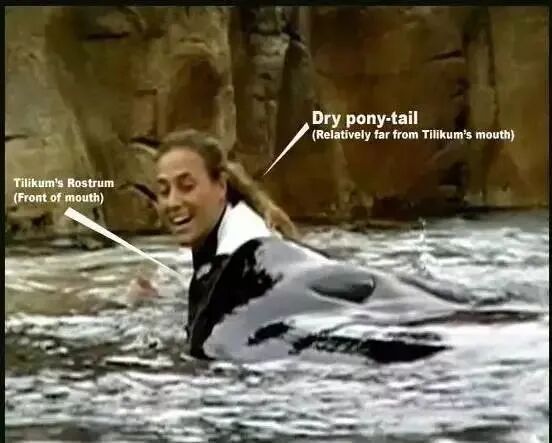 ���ڶ���˹������Ű������Щ�ꡭ��