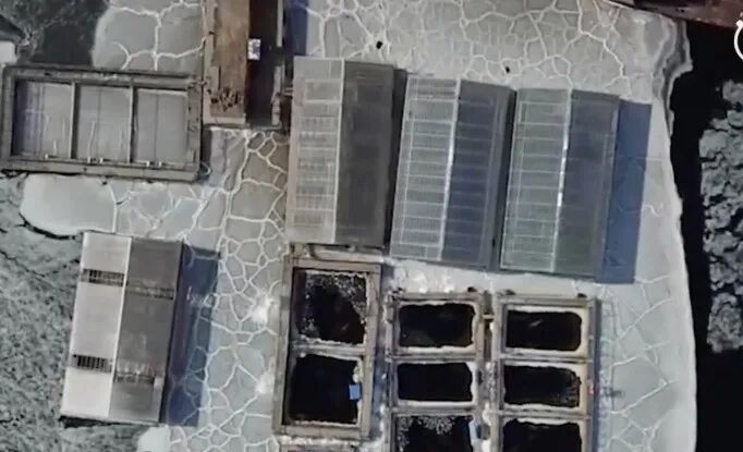 ���ڶ���˹������Ű������Щ�ꡭ��