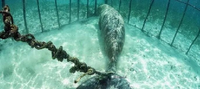 ���ڶ���˹������Ű������Щ�ꡭ��