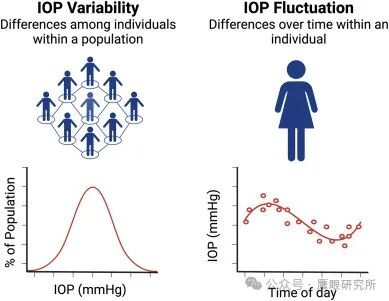 什么是回弹式眼压眼压与青光眼的关系：迄今为止最全面的眼压文献_https://www.jmylbn.com_新闻资讯_第15张