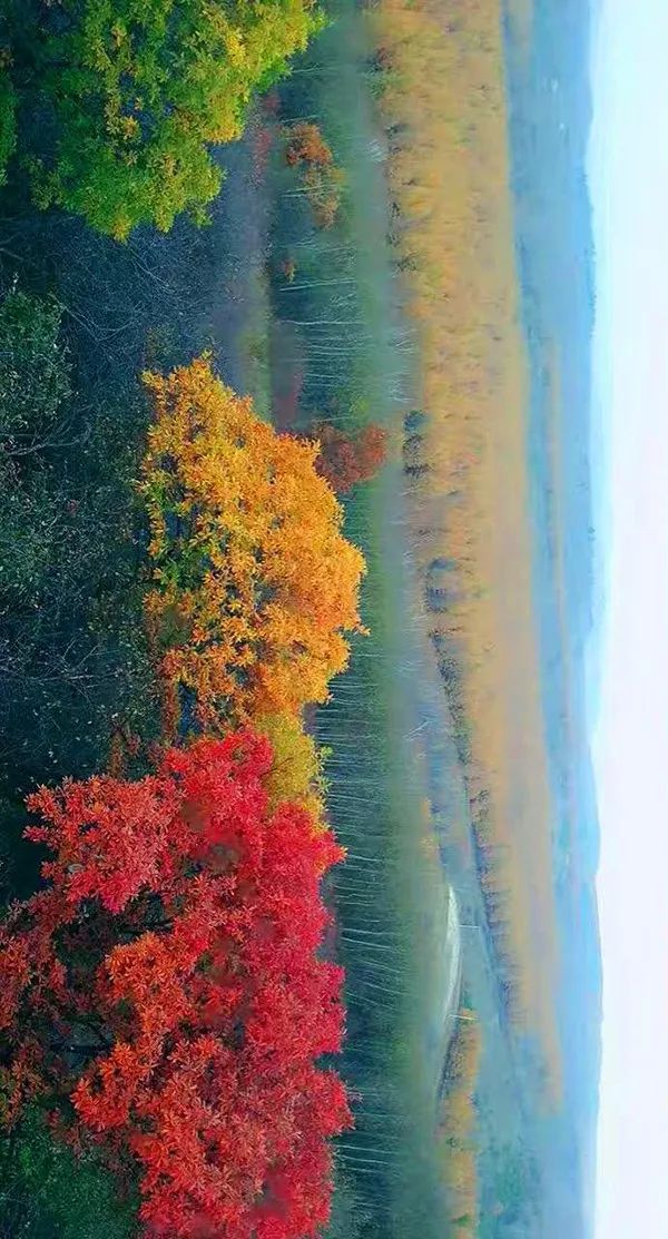 乌兰木通一一康熙皇帝平定葛尔丹叛乱的古战场张北坝上草原位于张家口