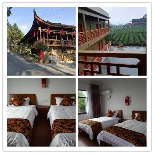 3月30-31日【周日】住果园+采明前茶+坐龙峡+赖草(图6)