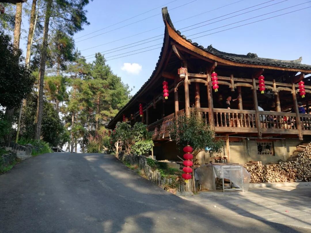 3月30-31日【周日】住果园+采明前茶+坐龙峡+赖草(图2)