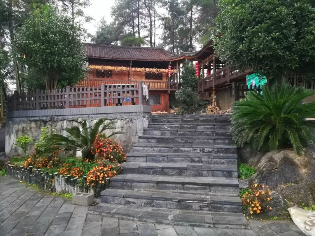 3月30-31日【周日】住果园+采明前茶+坐龙峡+赖草