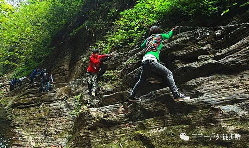 3月30-31日【周日】住果园+采明前茶+坐龙峡+赖草(图12)