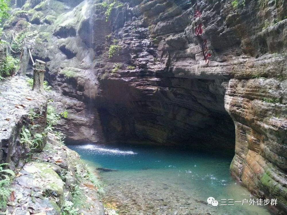 3月30-31日【周日】住果园+采明前茶+坐龙峡+赖草(图13)