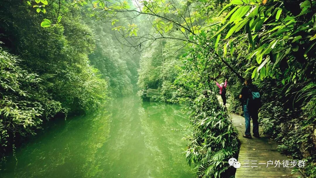 3月30-31日【周日】住果园+采明前茶+坐龙峡+赖草(图11)