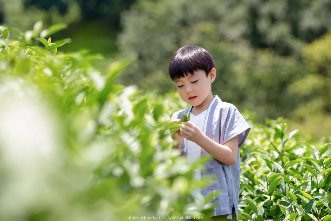 3月30-31日【周日】住果园+采明前茶+坐龙峡+赖草(图5)