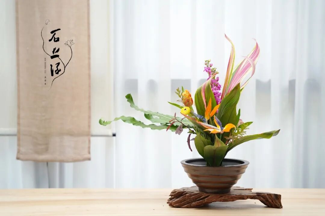 石上流 东方花艺雅赏 | 久在樊笼里,复得返自然-时代花木花艺培训学校