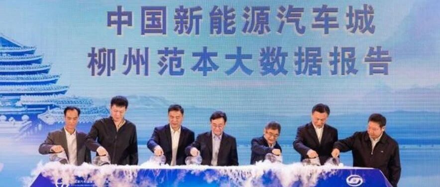 【报告】2021年中国新能源汽车城柳州范本大数据研究（附35页PDF文件下载）