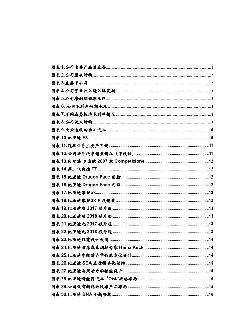 【告訴】比亞迪業務研究2019版（附51頁PDF文件下載） 科技 第2張