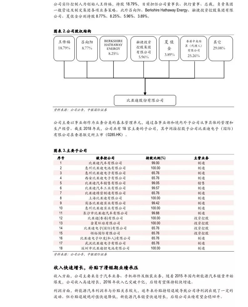 【告訴】比亞迪業務研究2019版（附51頁PDF文件下載） 科技 第6張