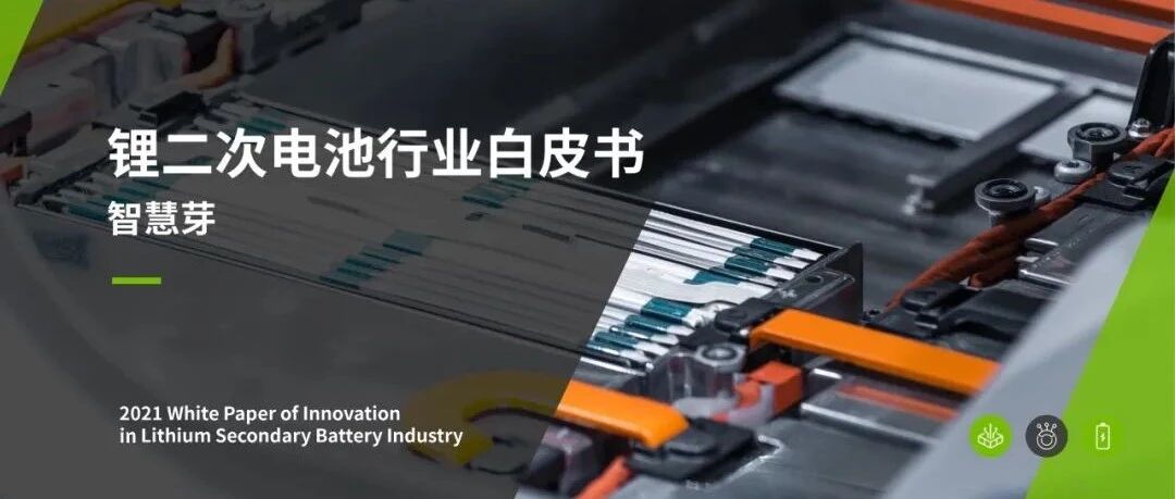 【报告】锂二次电池行业白皮书（附61页PDF文件下载）