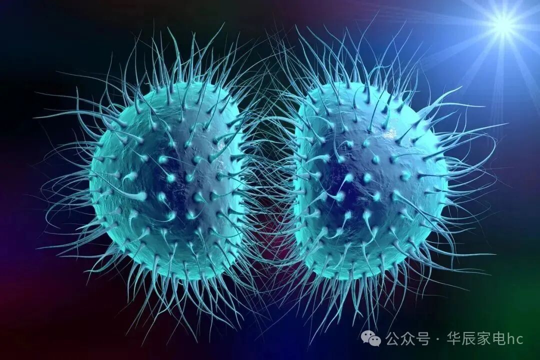 微波炉能杀菌消毒吗？正确操作方法与注意事项解析