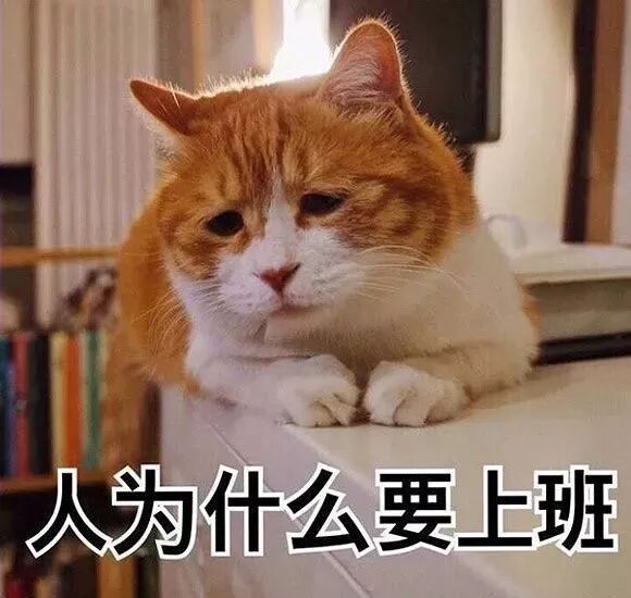 "老子不干了",说出了多少员工的心声!