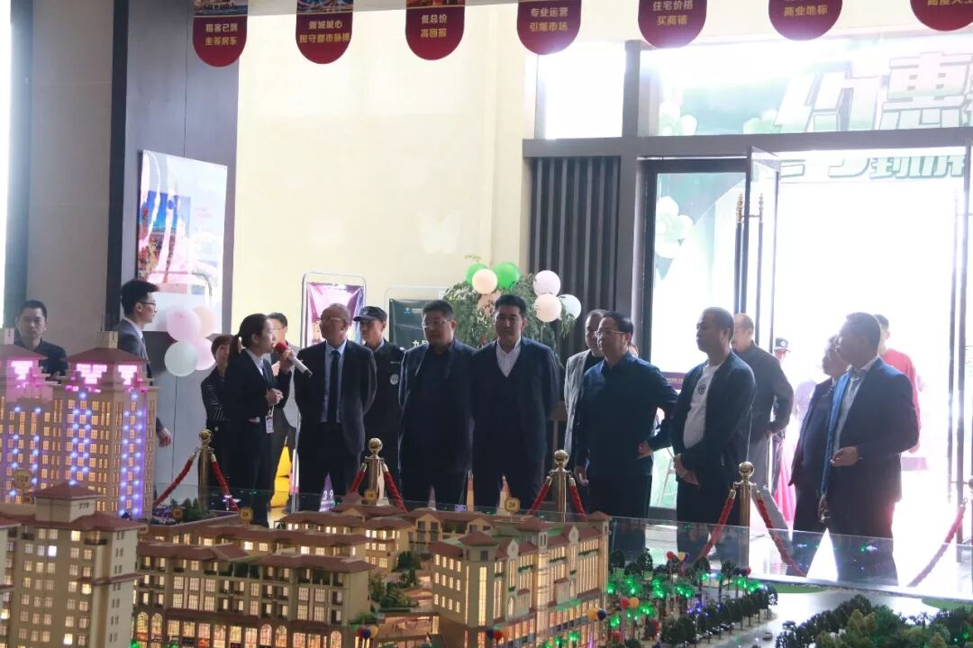 热烈欢迎河南省宣工委领导莅临郸城万洋国际博览城进行参观考察(图1)