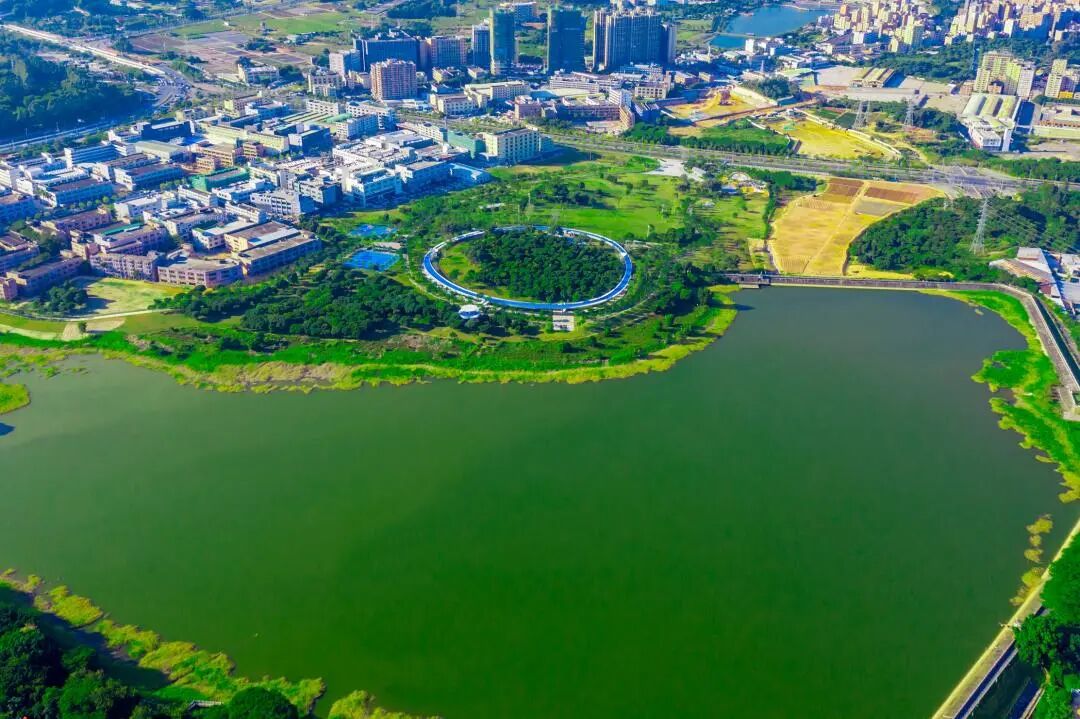 经济日报关注光明区荣获第三届中国生态文明奖