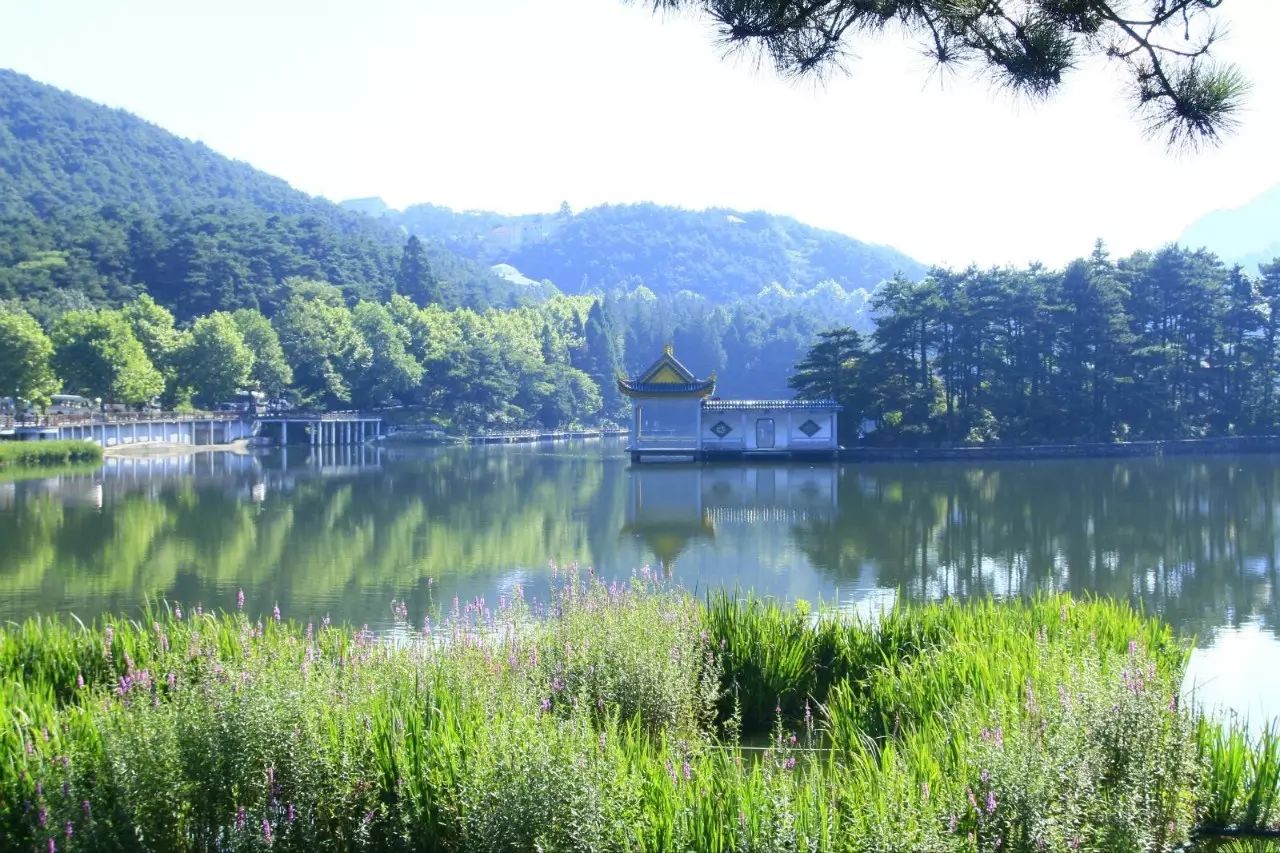 庐山夏天的景色图片