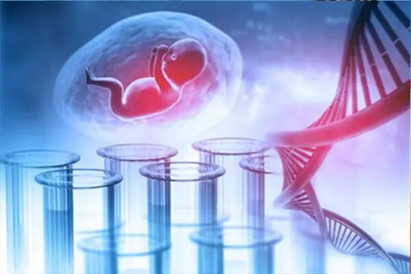 有人做过产前亲子鉴定吗？