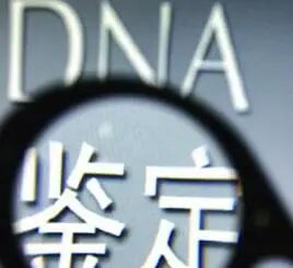 司法亲子鉴定需要哪些材料，看这里！