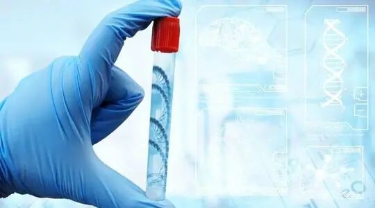 做dna亲子鉴定需要什么手续？