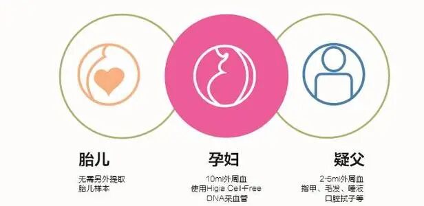 静脉血做胎儿亲子鉴定准确率多高？