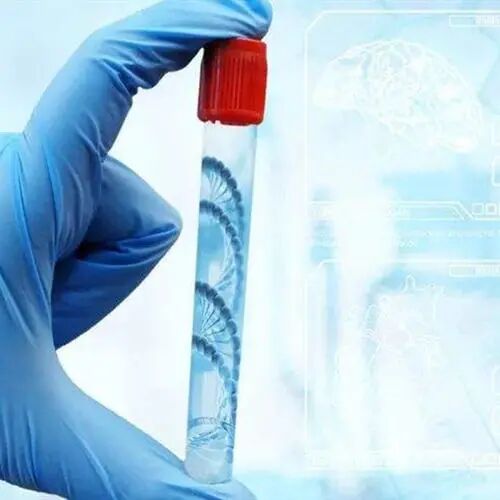 怎么匿名邮寄样本做个人亲子鉴定？